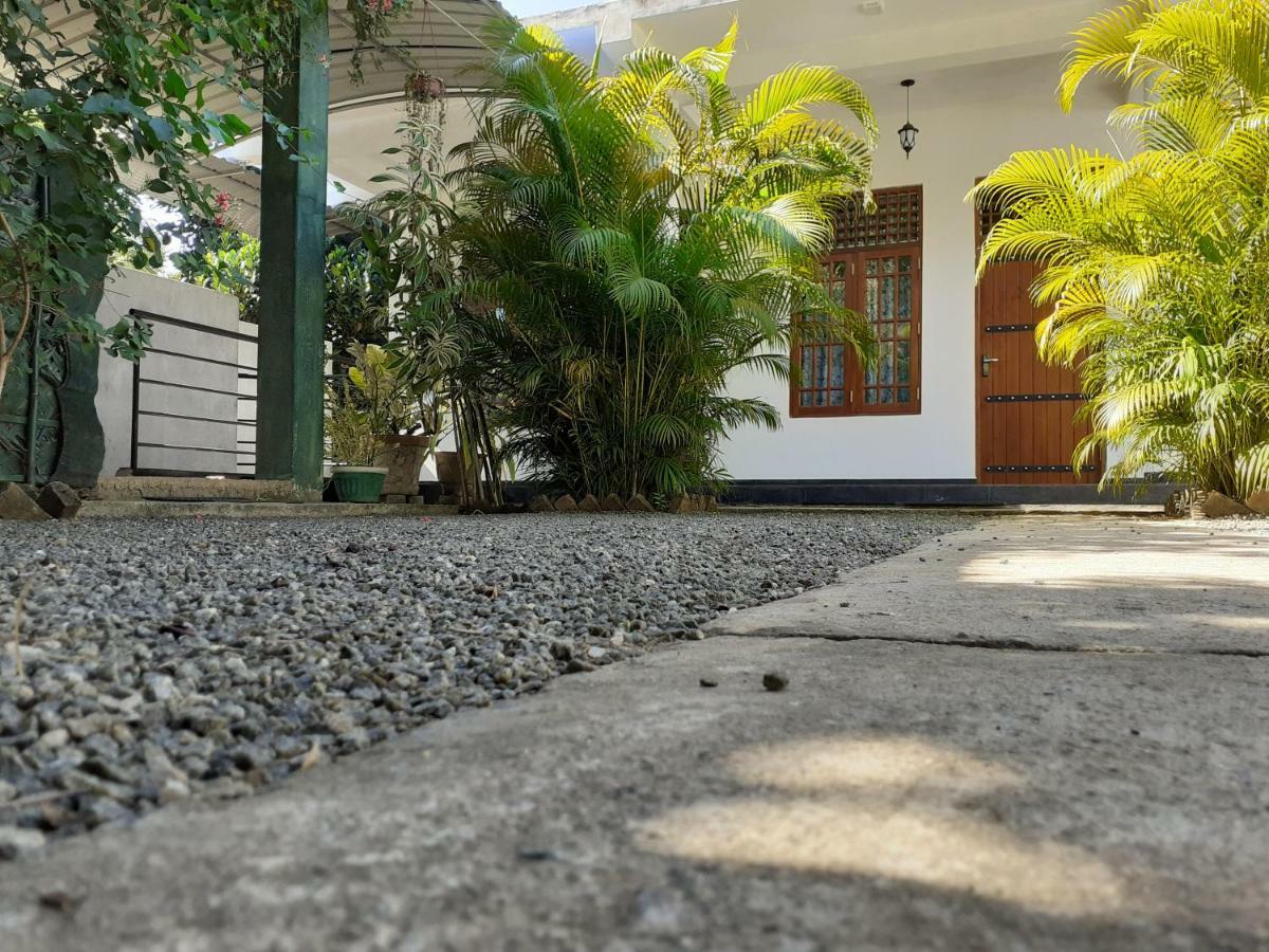 Golden Pearl Safari Villa 达瓦拉维 外观 照片