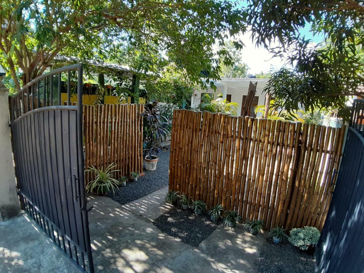Golden Pearl Safari Villa 达瓦拉维 外观 照片