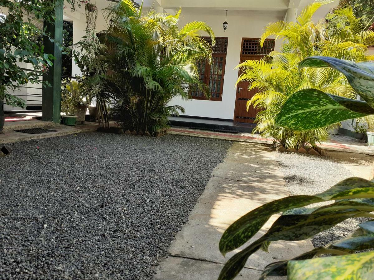 Golden Pearl Safari Villa 达瓦拉维 外观 照片